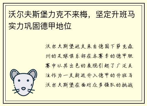 沃尔夫斯堡力克不来梅，坚定升班马实力巩固德甲地位